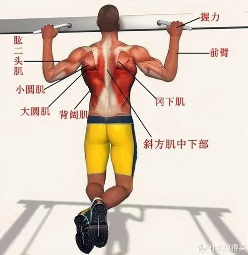 米乐m6：在家怎么用篮球运动器材