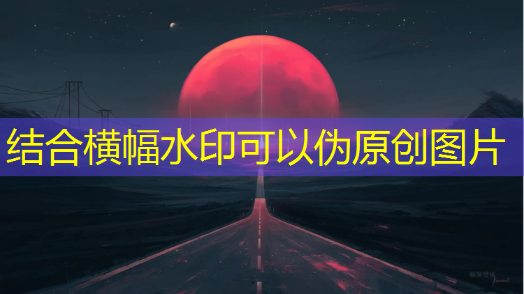 狗子撞网球网下跪