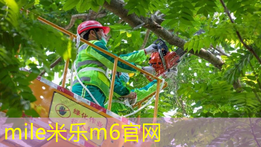 网球拍比一米长